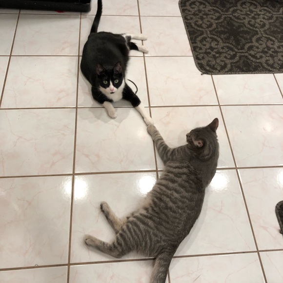 Meet your Posher, Kristen - Picture 6 of 13